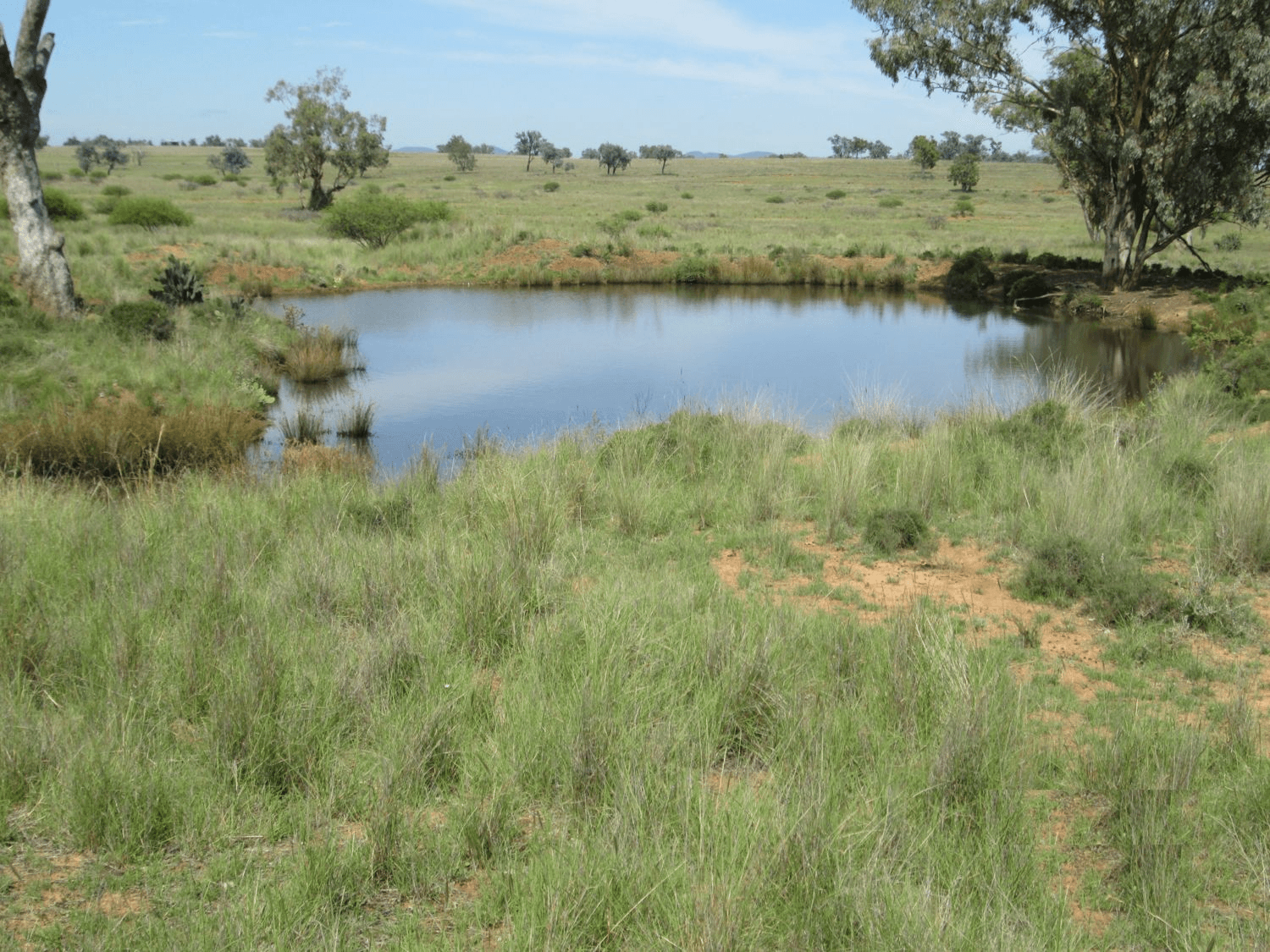 "Esmadale", WARIALDA, NSW 2402