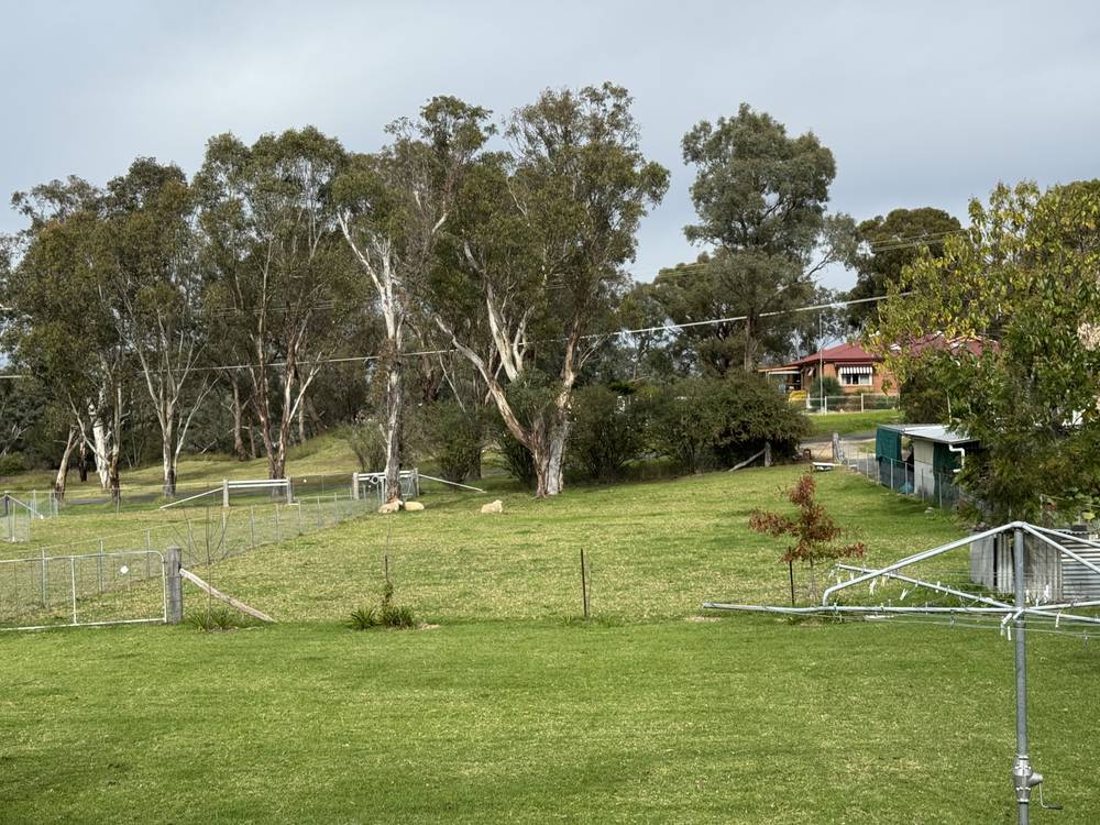 8 Baker St Bundarra NSW 2359, Inverell, NSW 2360