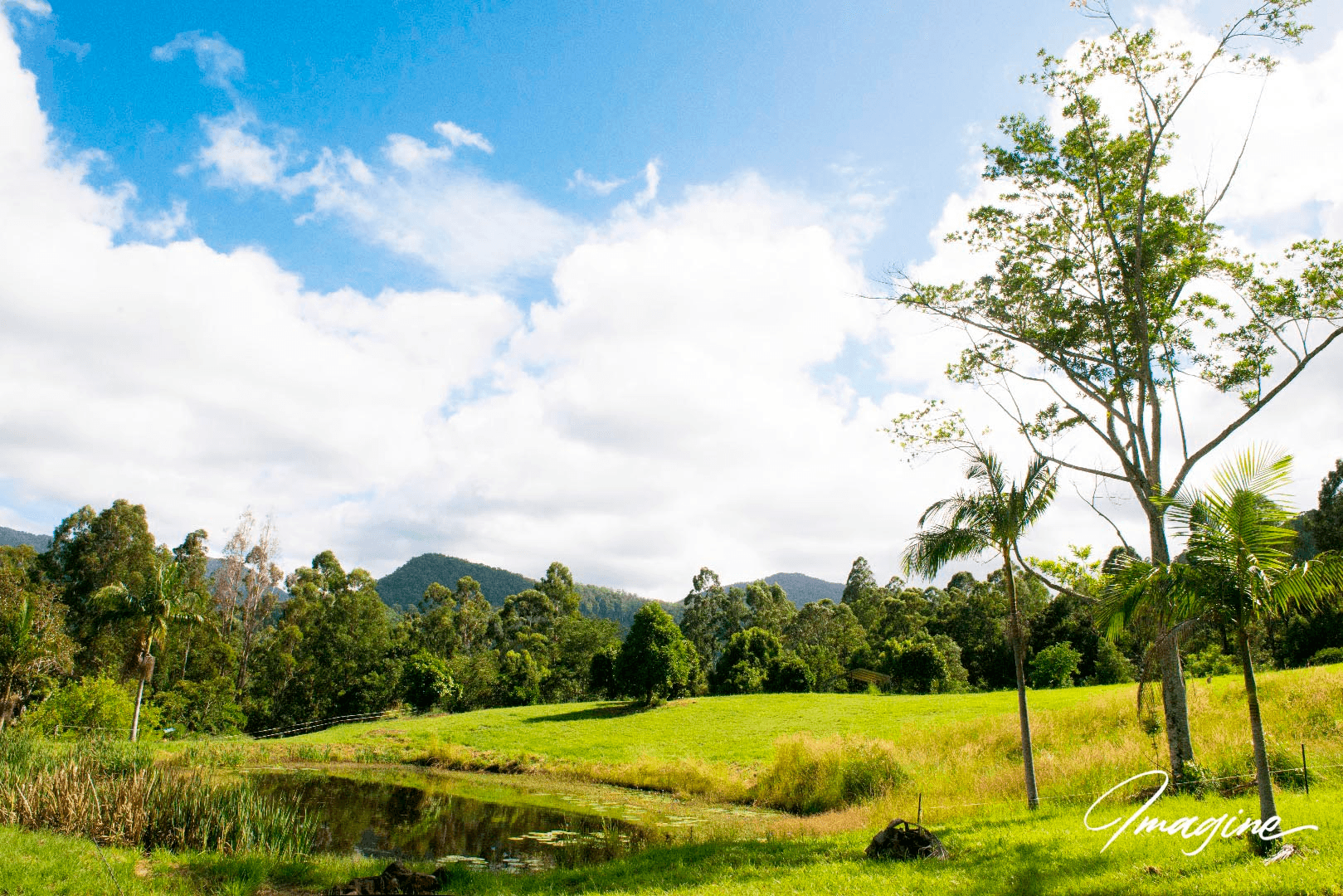 Nimbin, NSW 2480