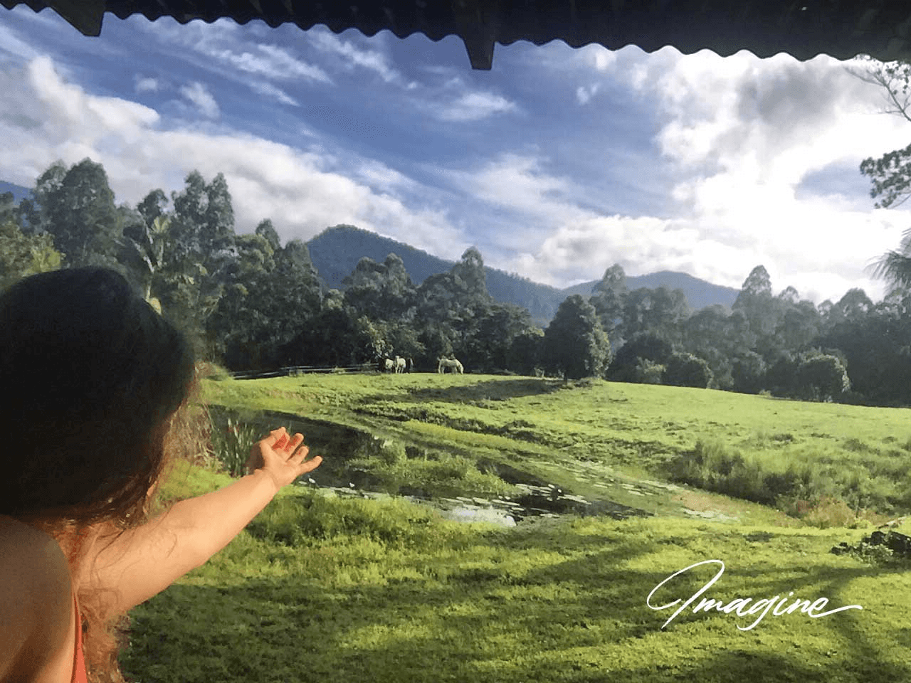 Nimbin, NSW 2480