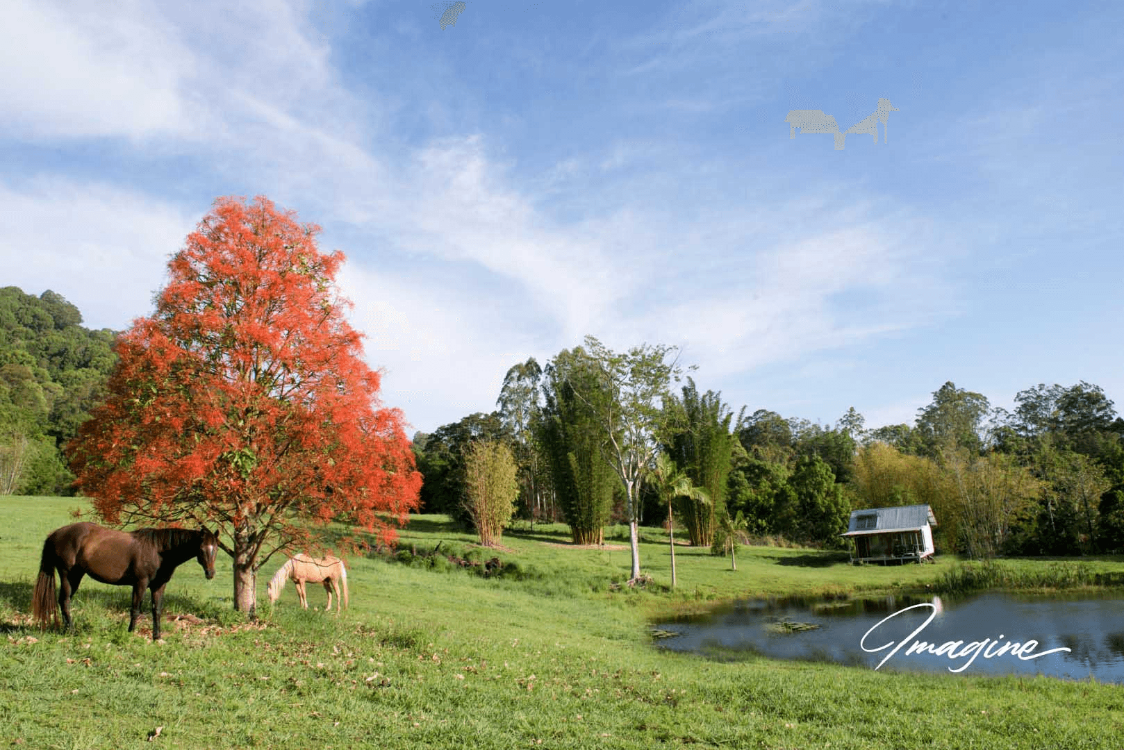 Nimbin, NSW 2480