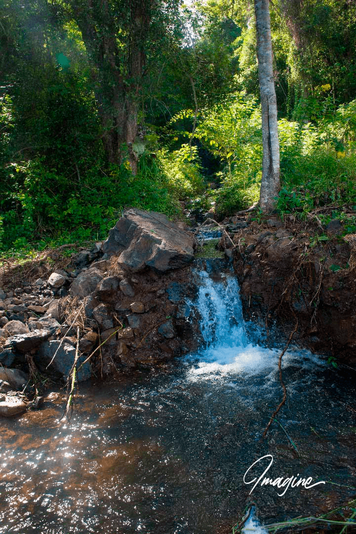 Nimbin, NSW 2480