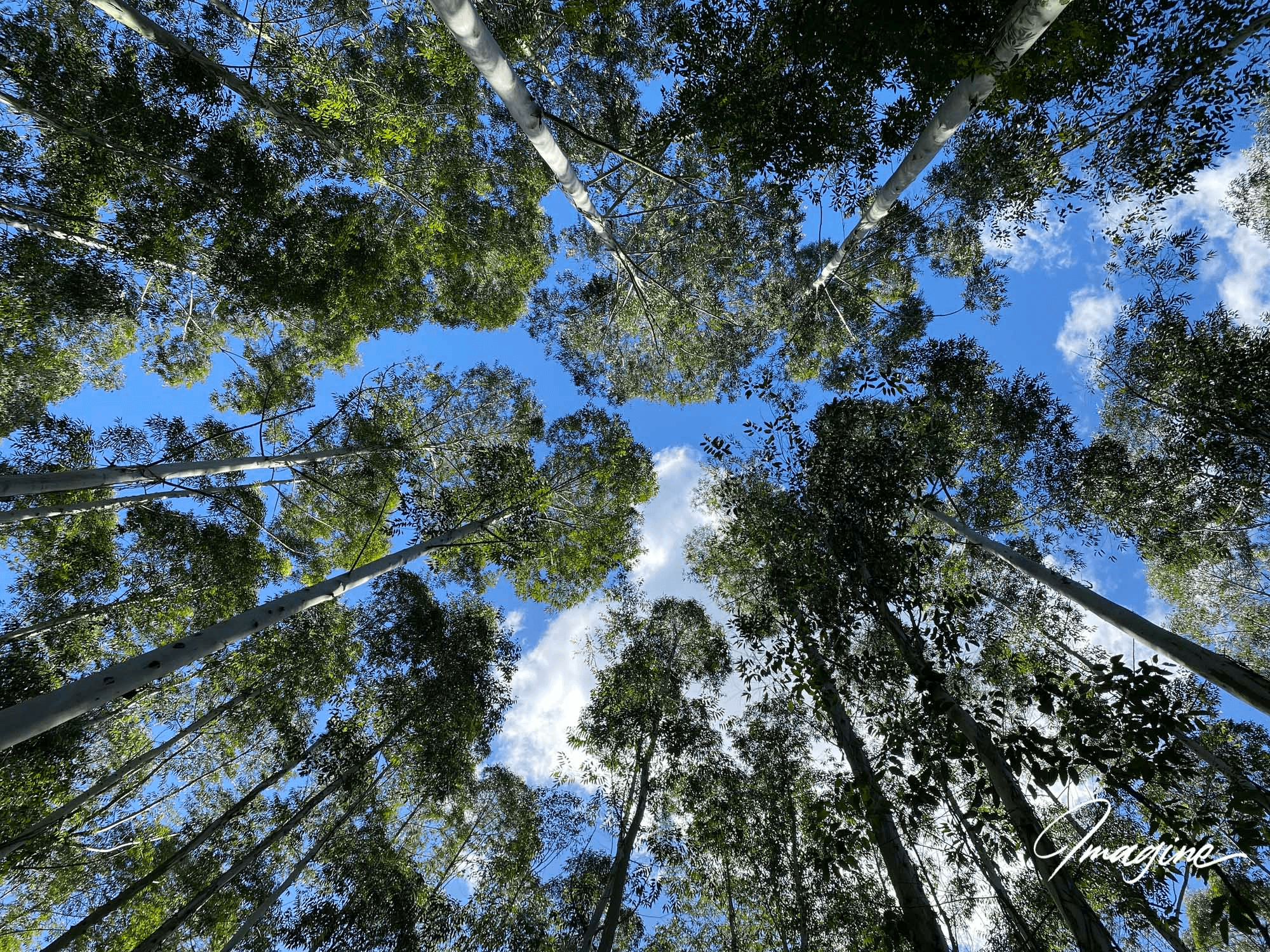 Nimbin, NSW 2480