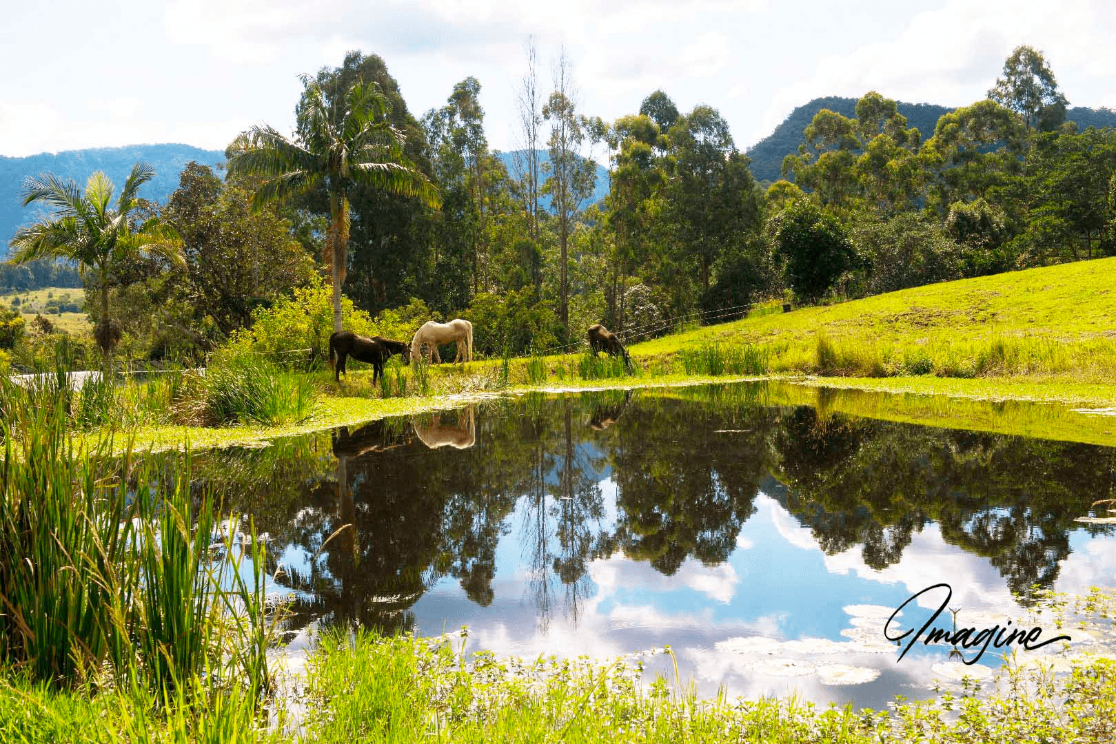 Nimbin, NSW 2480