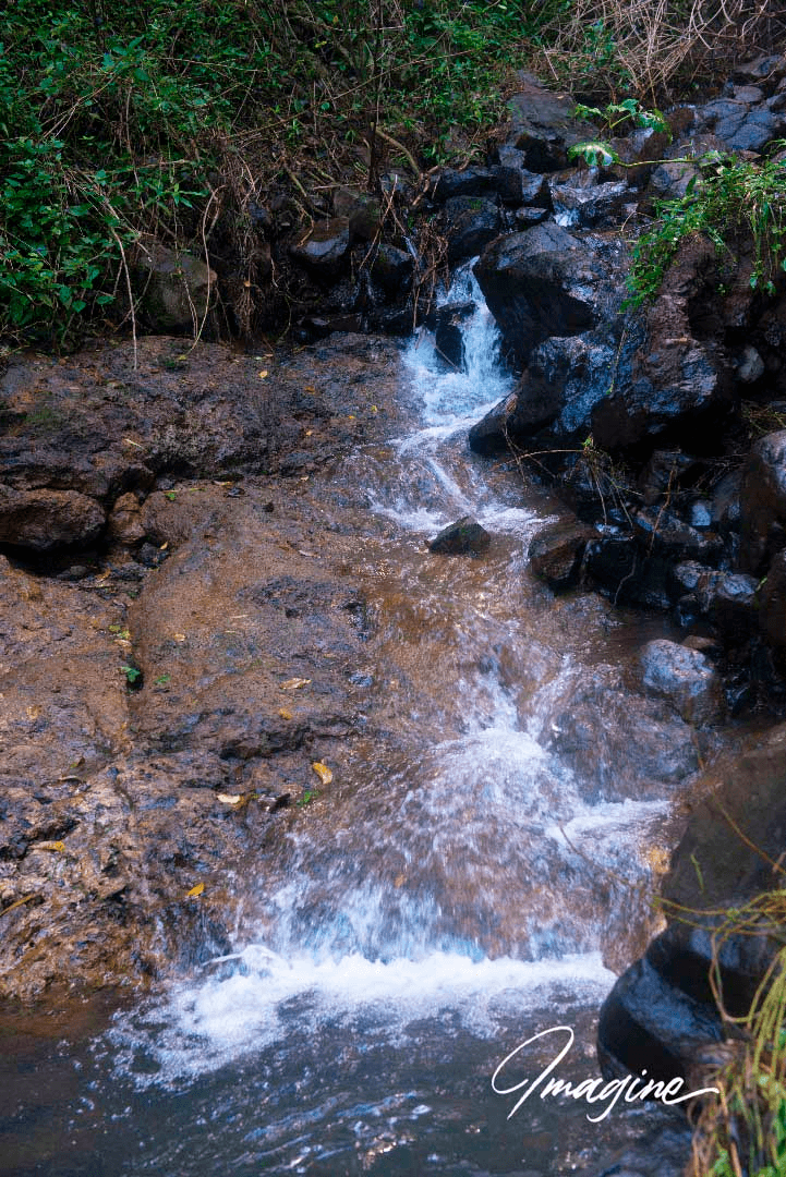 Nimbin, NSW 2480