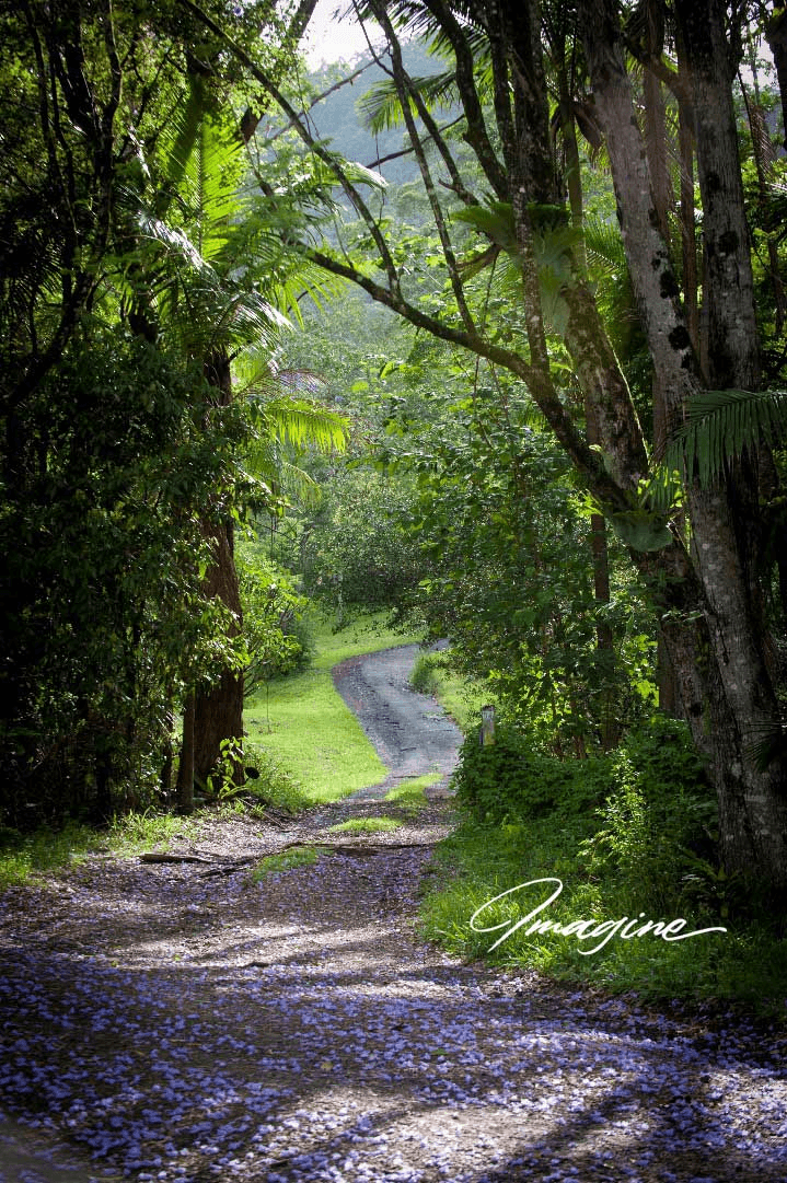 Nimbin, NSW 2480