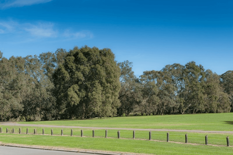 31F/47 Herdsman Parade, Wembley, WA 6014