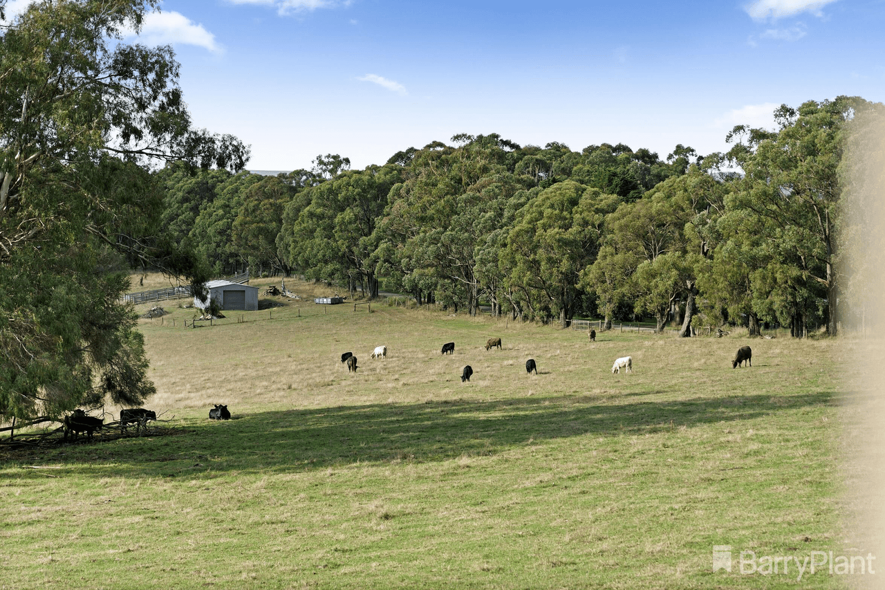 65 Evans Road, COCKATOO, VIC 3781