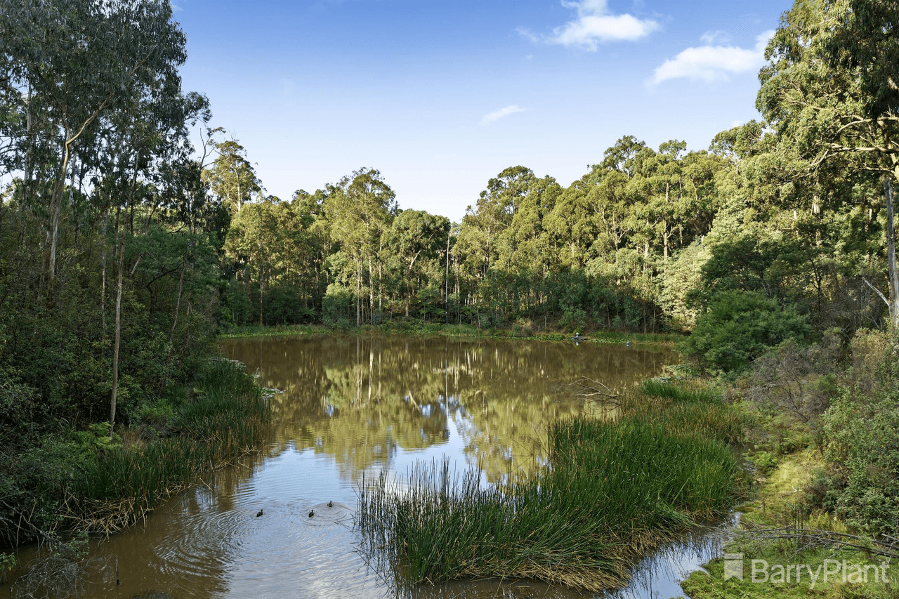 65 Evans Road, COCKATOO, VIC 3781