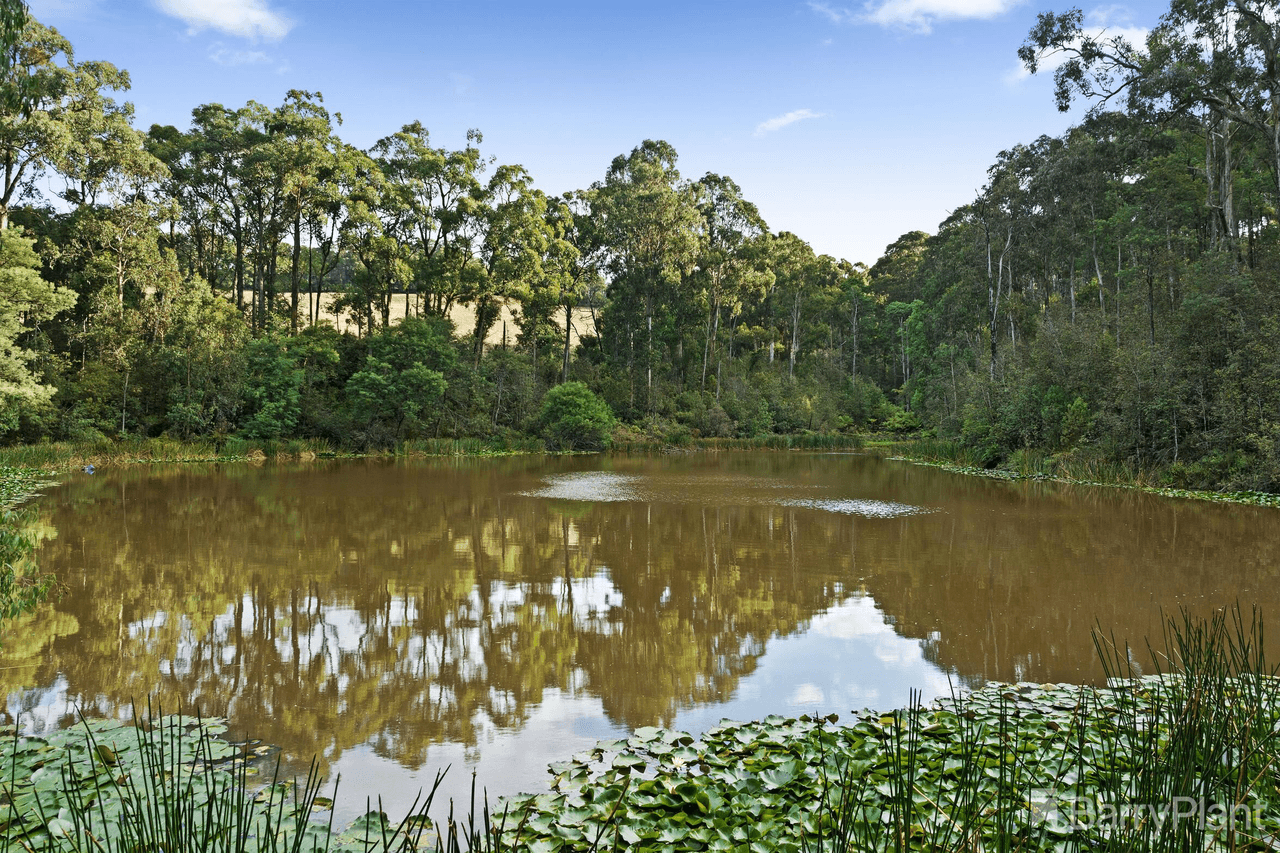 65 Evans Road, COCKATOO, VIC 3781