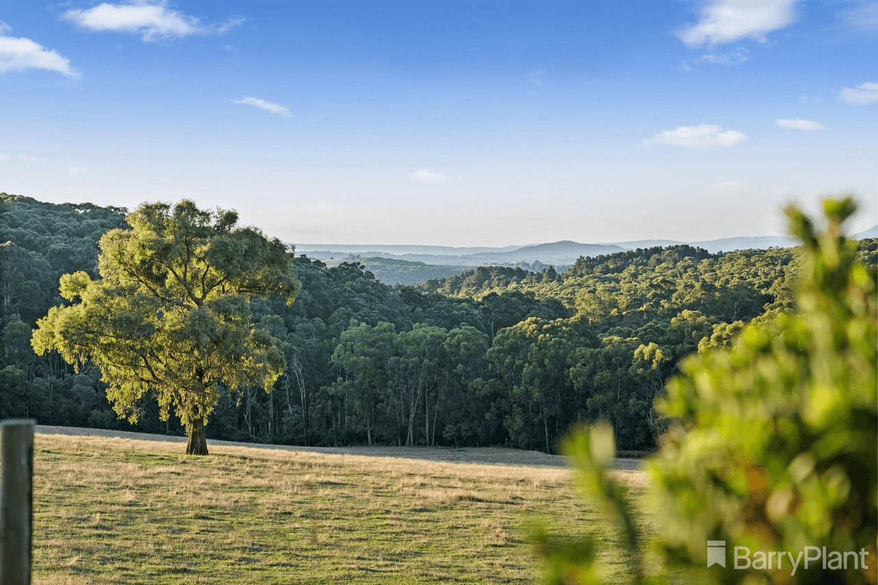 65 Evans Road, COCKATOO, VIC 3781