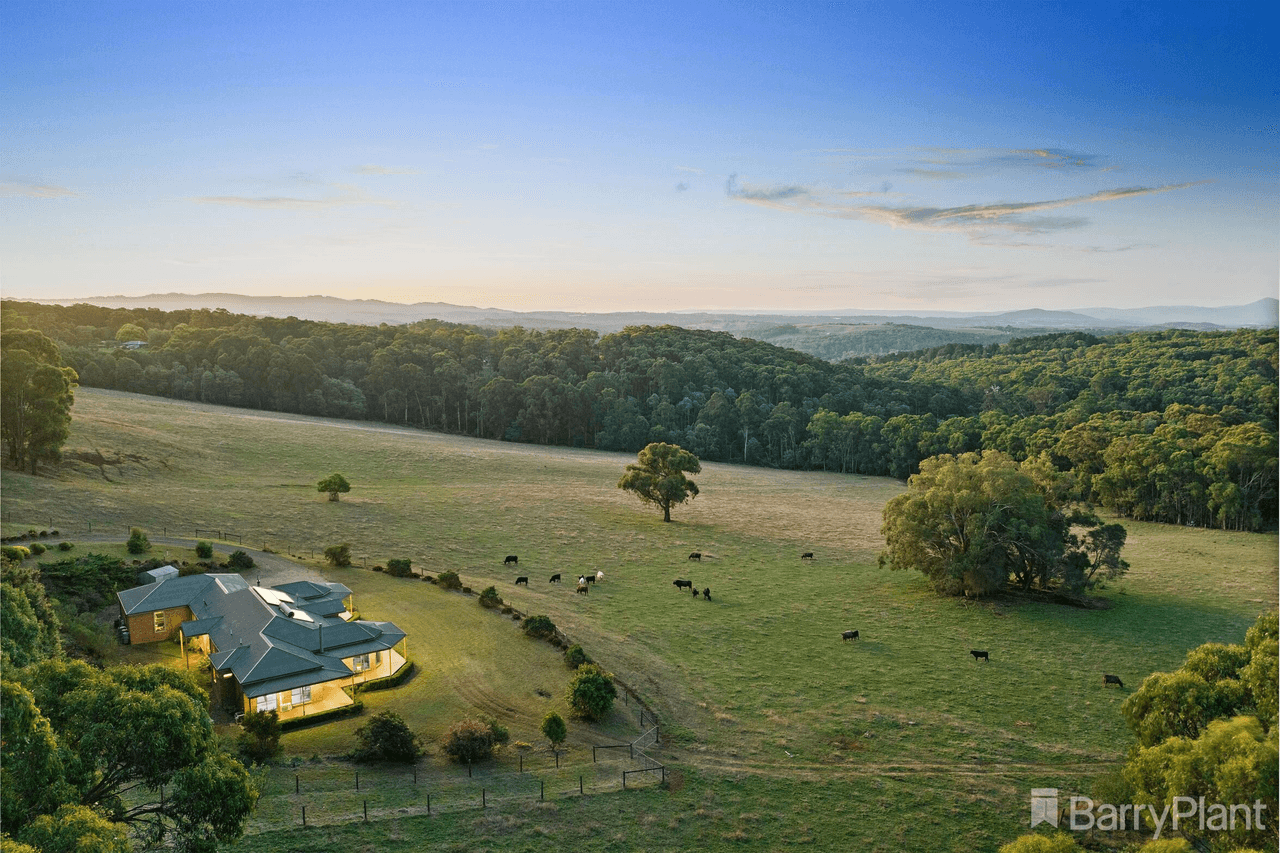 65 Evans Road, COCKATOO, VIC 3781