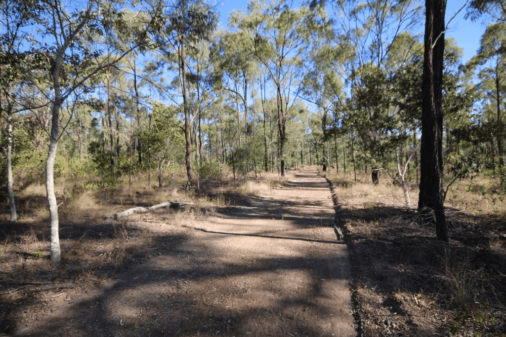 Lot 132 Epala Road, AMBROSE, QLD 4695