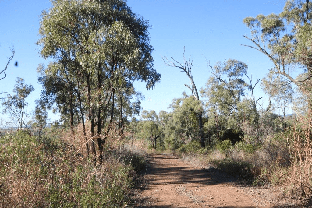 Lot 132 Epala Road, AMBROSE, QLD 4695