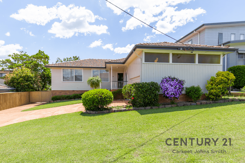 22 Stayton Street, Adamstown Heights, NSW 2289