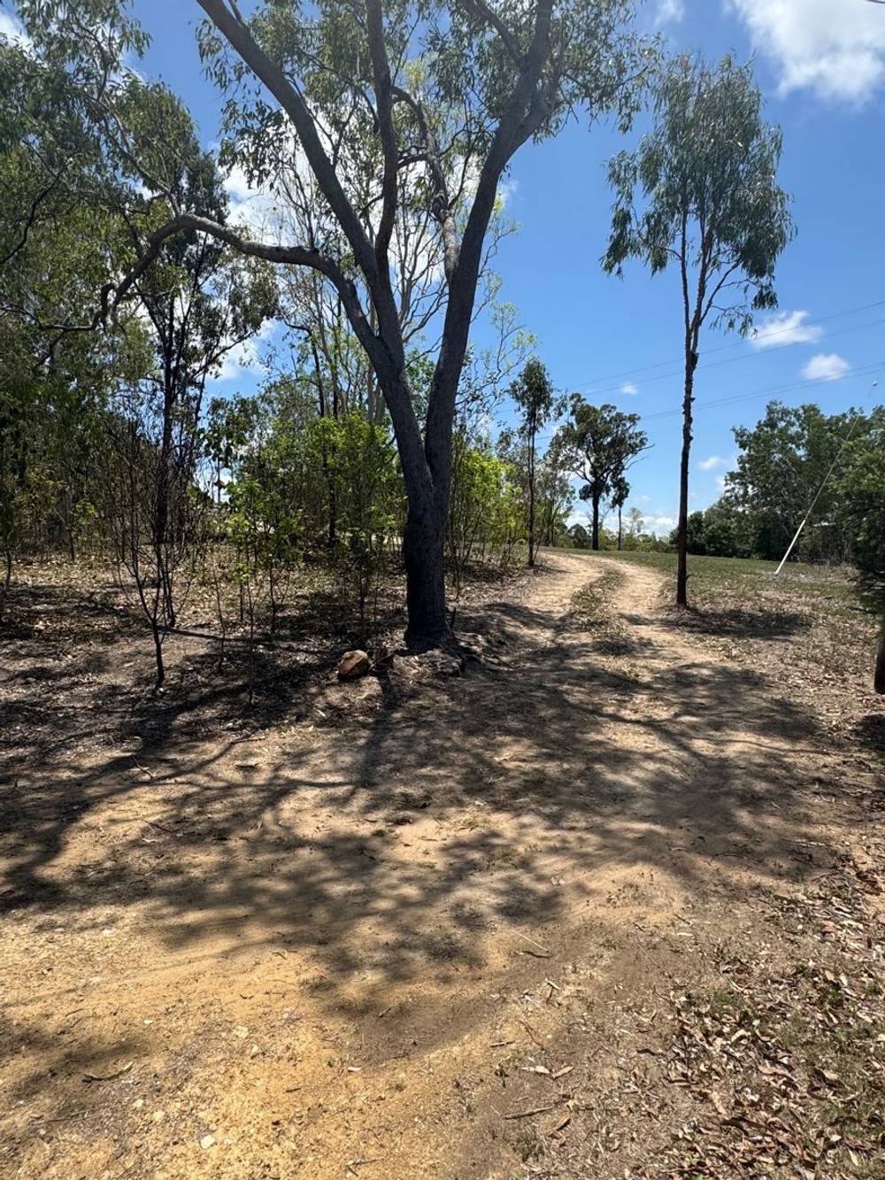36 CARLISLE CRESCENT, BLOOMSBURY, QLD 4799