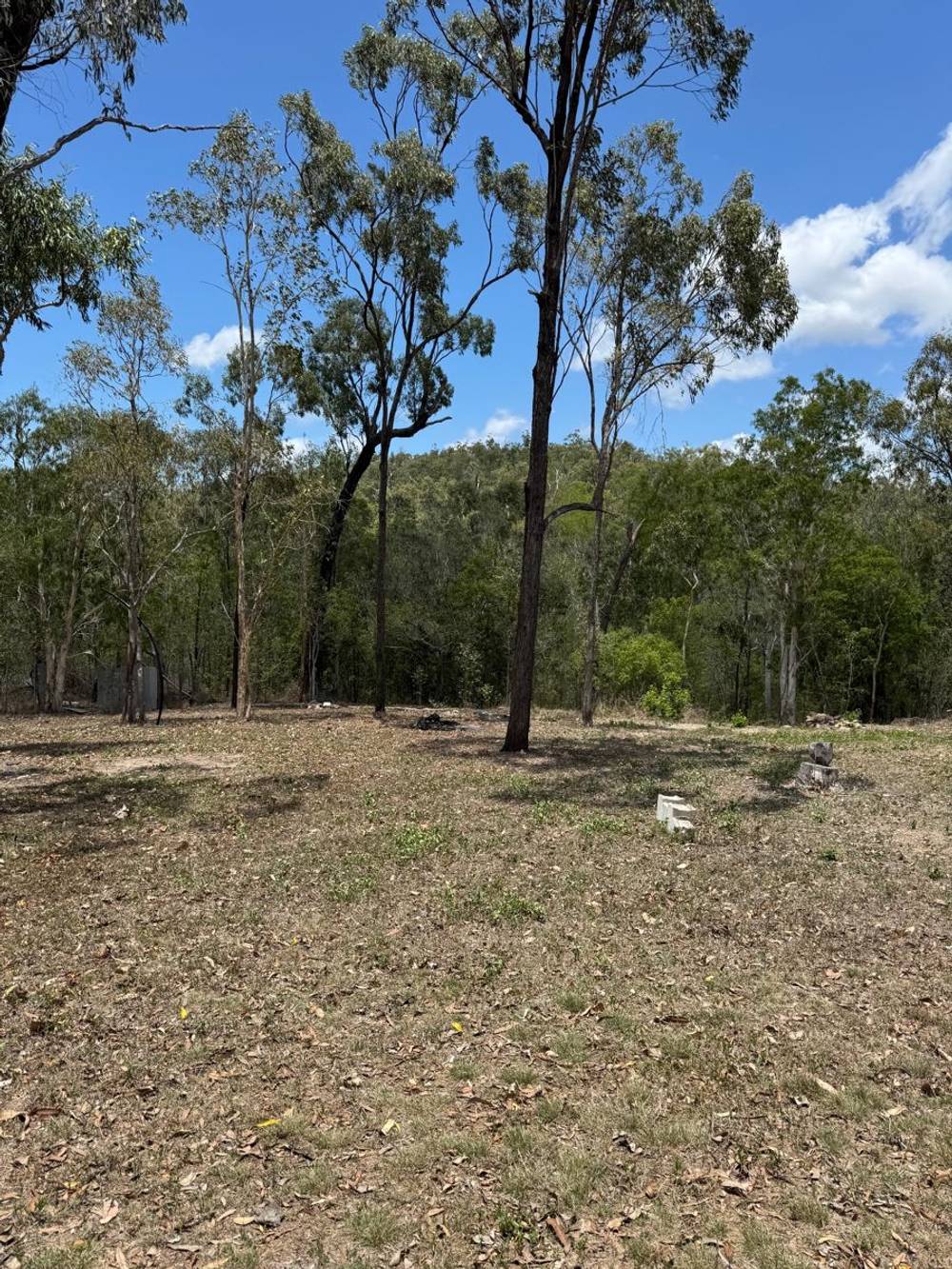 36 CARLISLE CRESCENT, BLOOMSBURY, QLD 4799