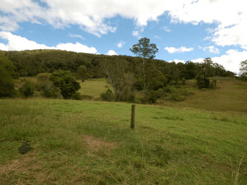 617 Caparra Road, CAPARRA, NSW 2429