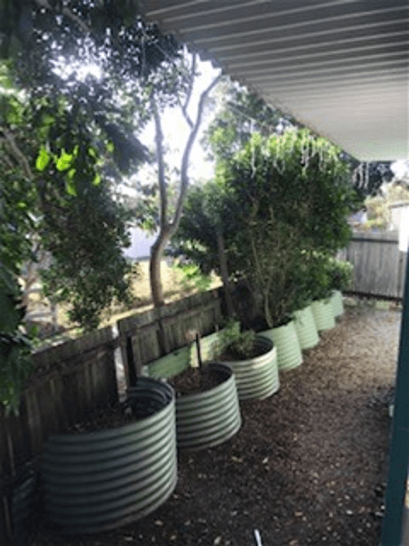 45 Richmond Street, LAWRENCE, NSW 2460