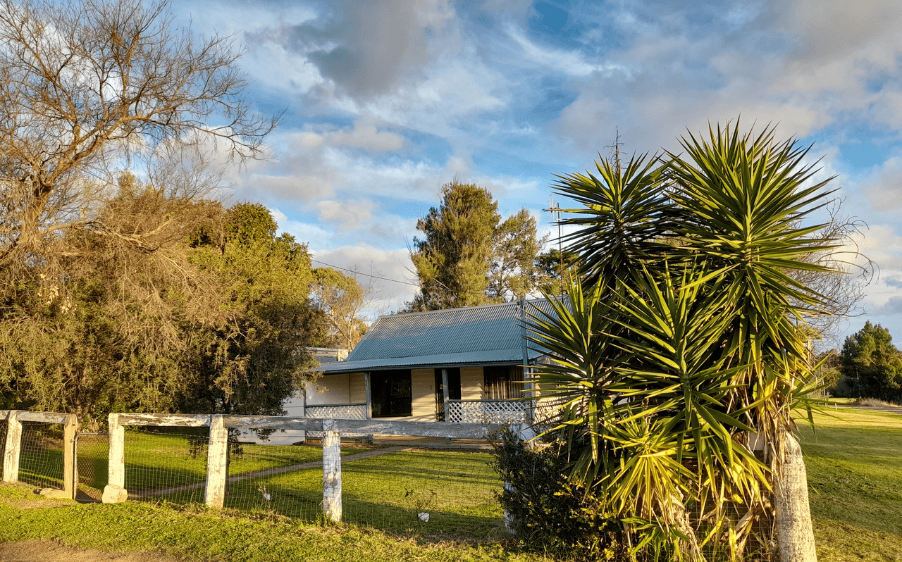 29 Tallawang Road, GULGONG, NSW 2852