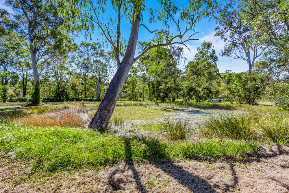 189 Coach Road East, BURPENGARY EAST, QLD 4505