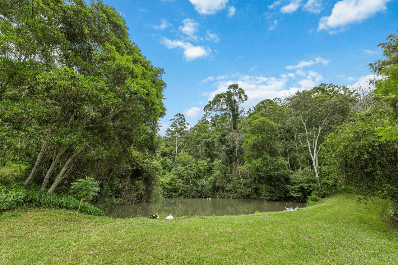 84 Isaacs Lane, Johns River, NSW 2443