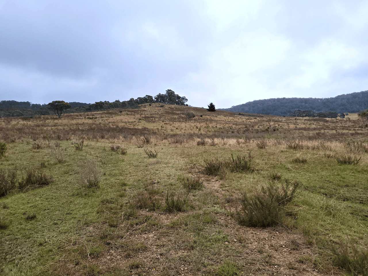 3364 Cooma Road, KRAWARREE, NSW 2622