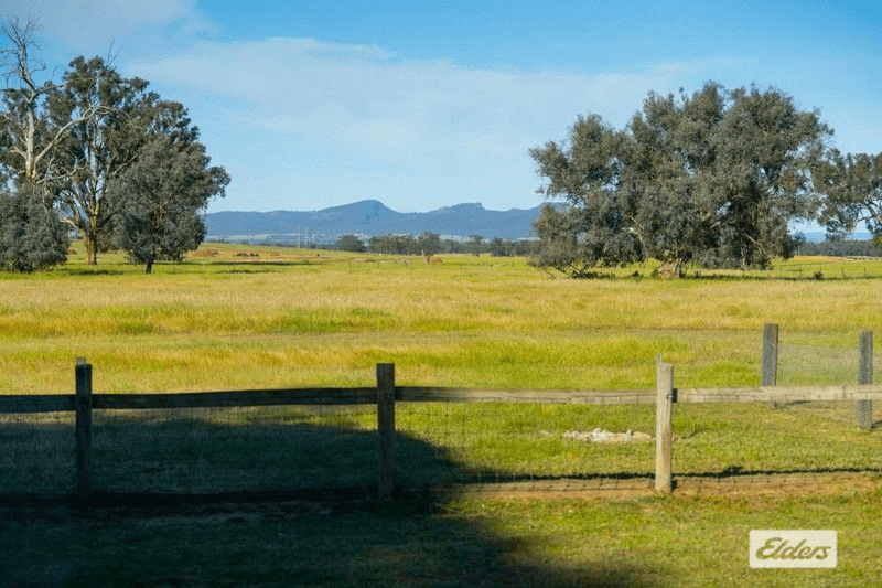 99 Lindner Road, Jindera, NSW 2642