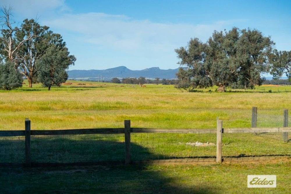 99 Lindner Road, Jindera, NSW 2642