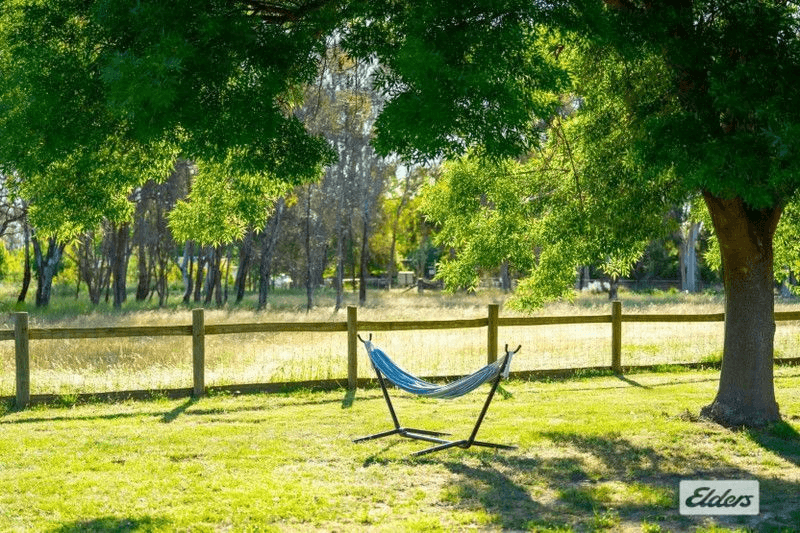 99 Lindner Road, Jindera, NSW 2642