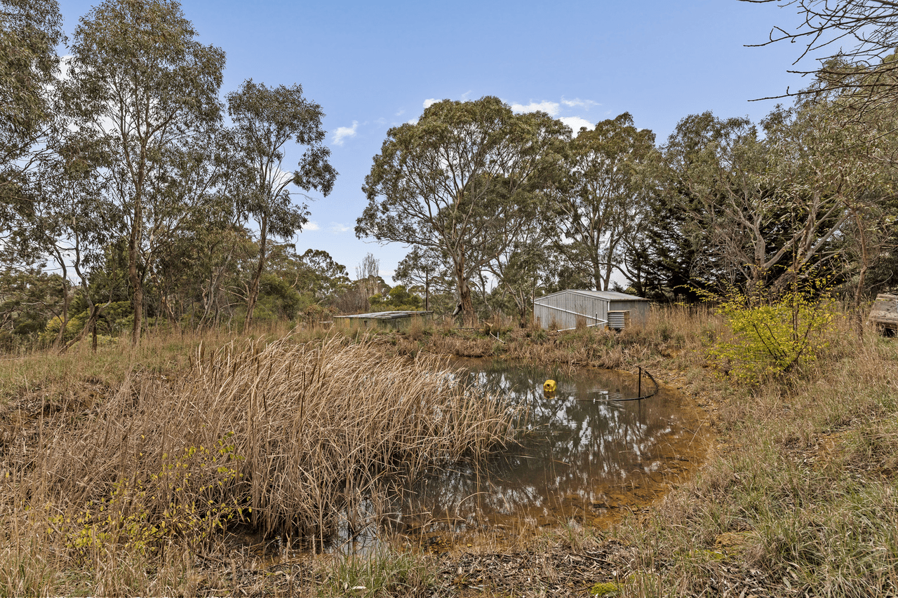 99 Peacock Road South, OAKBANK, SA 5243