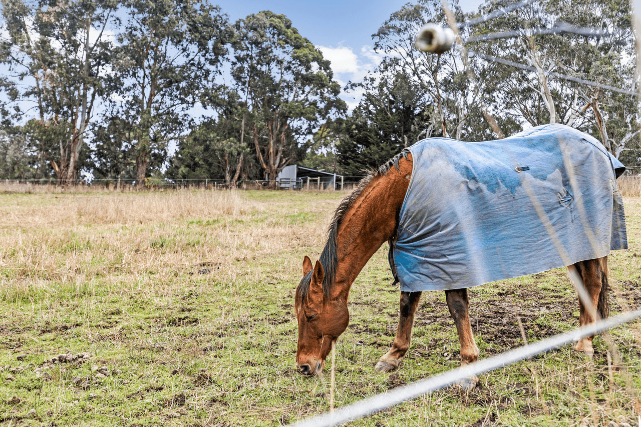 99 Peacock Road South, OAKBANK, SA 5243