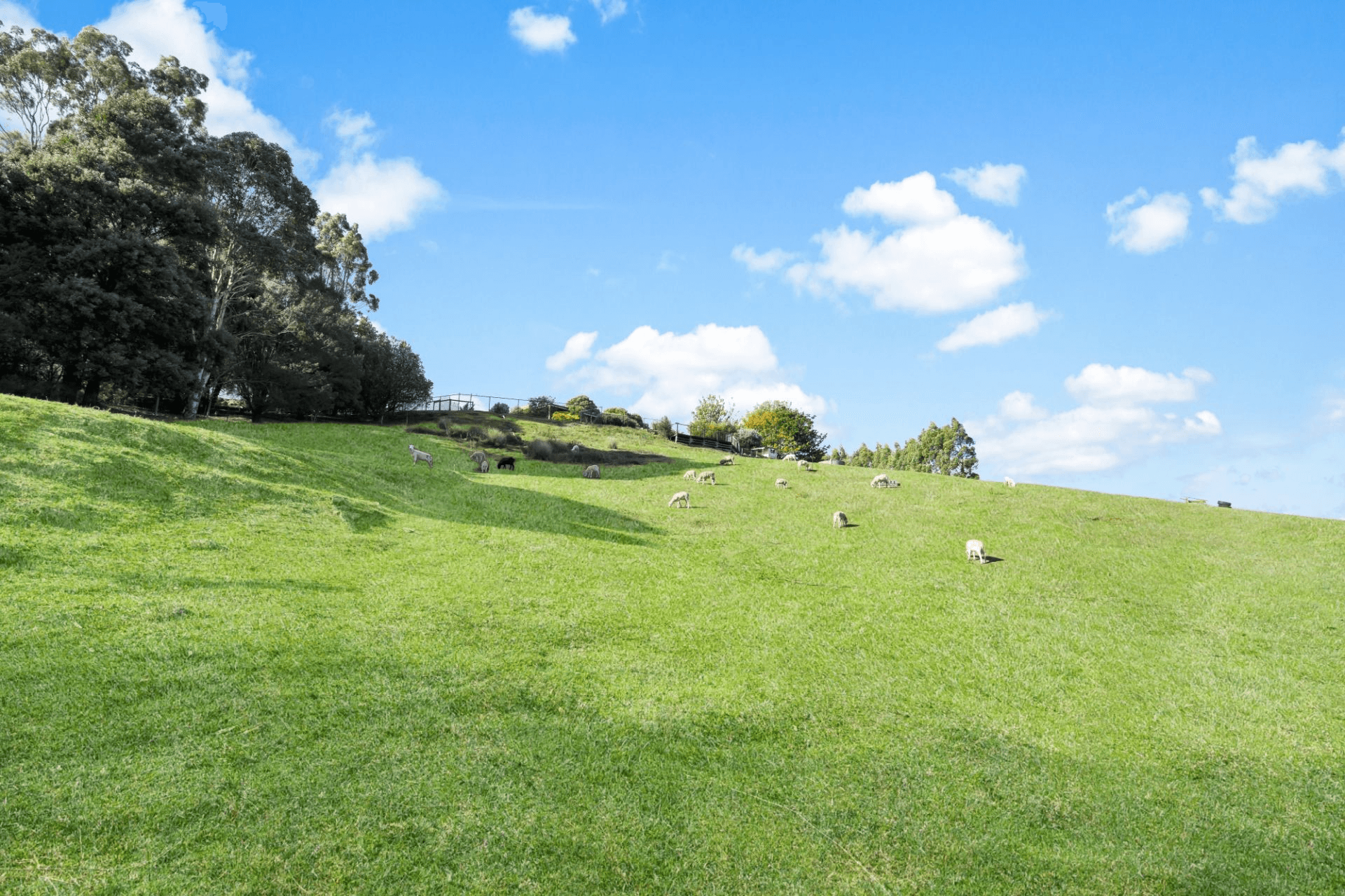 29 Dynans Bridge Road, Weegena, TAS 7304
