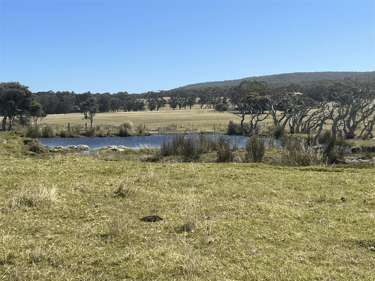 1102  Nanarup Road, Nanarup, WA 6330