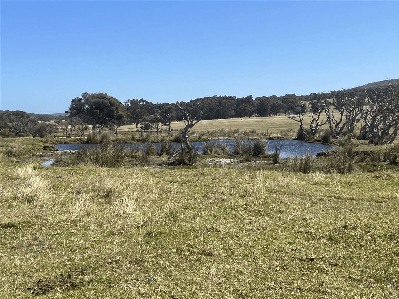 1102  Nanarup Road, Nanarup, WA 6330