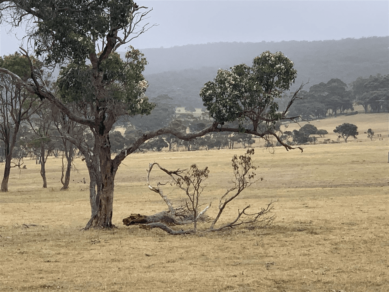 1102  Nanarup Road, Nanarup, WA 6330