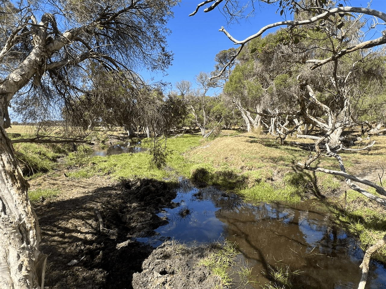 1102  Nanarup Road, Nanarup, WA 6330