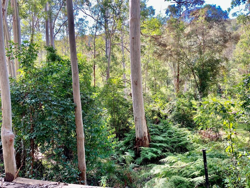 223 Rocky Creek Rd, Wollombi, NSW 2325