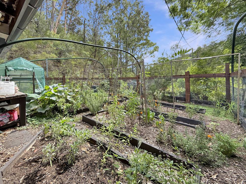 223 Rocky Creek Rd, Wollombi, NSW 2325
