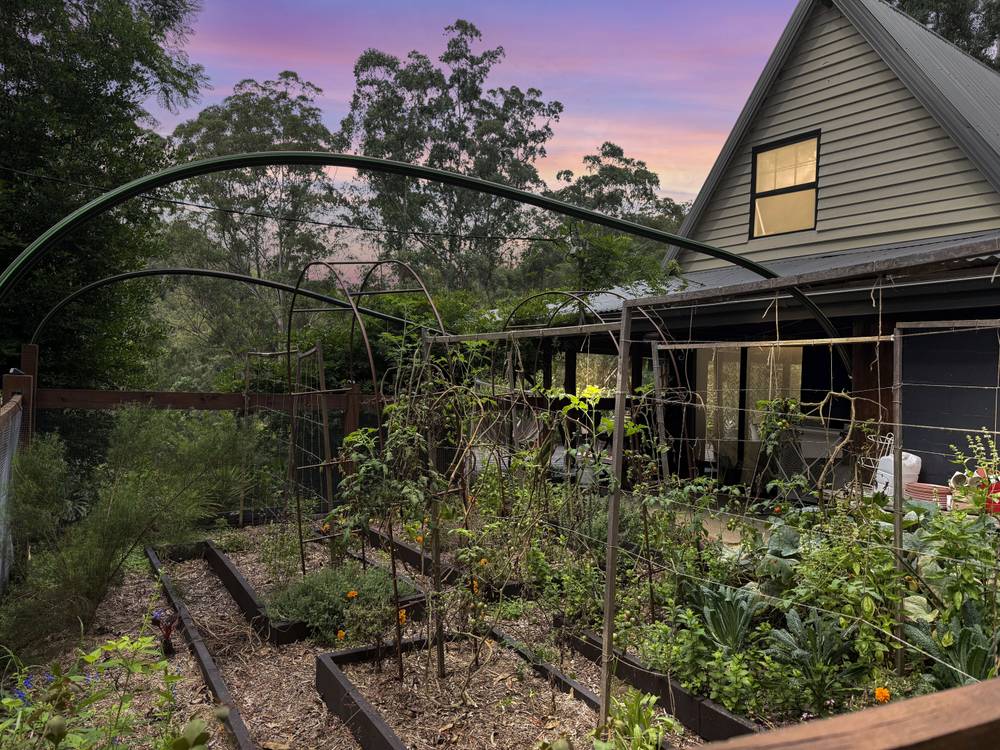 223 Rocky Creek Rd, Wollombi, NSW 2325