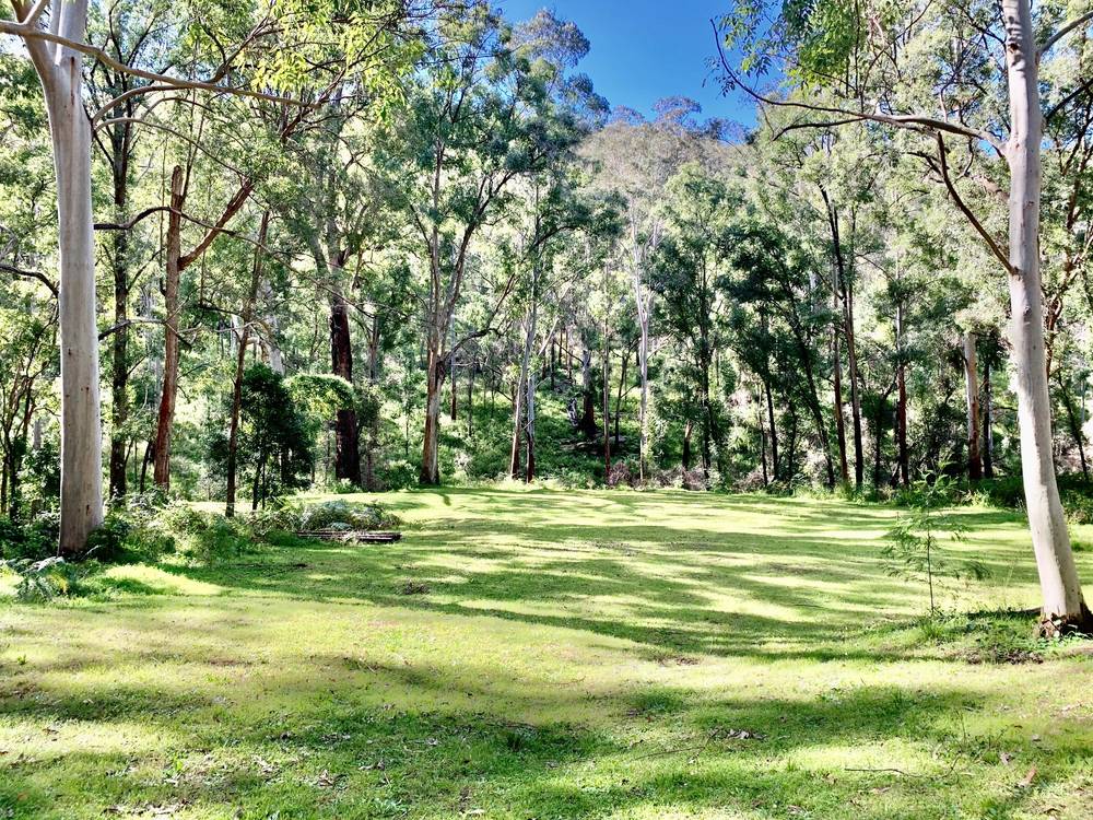 223 Rocky Creek Rd, Wollombi, NSW 2325