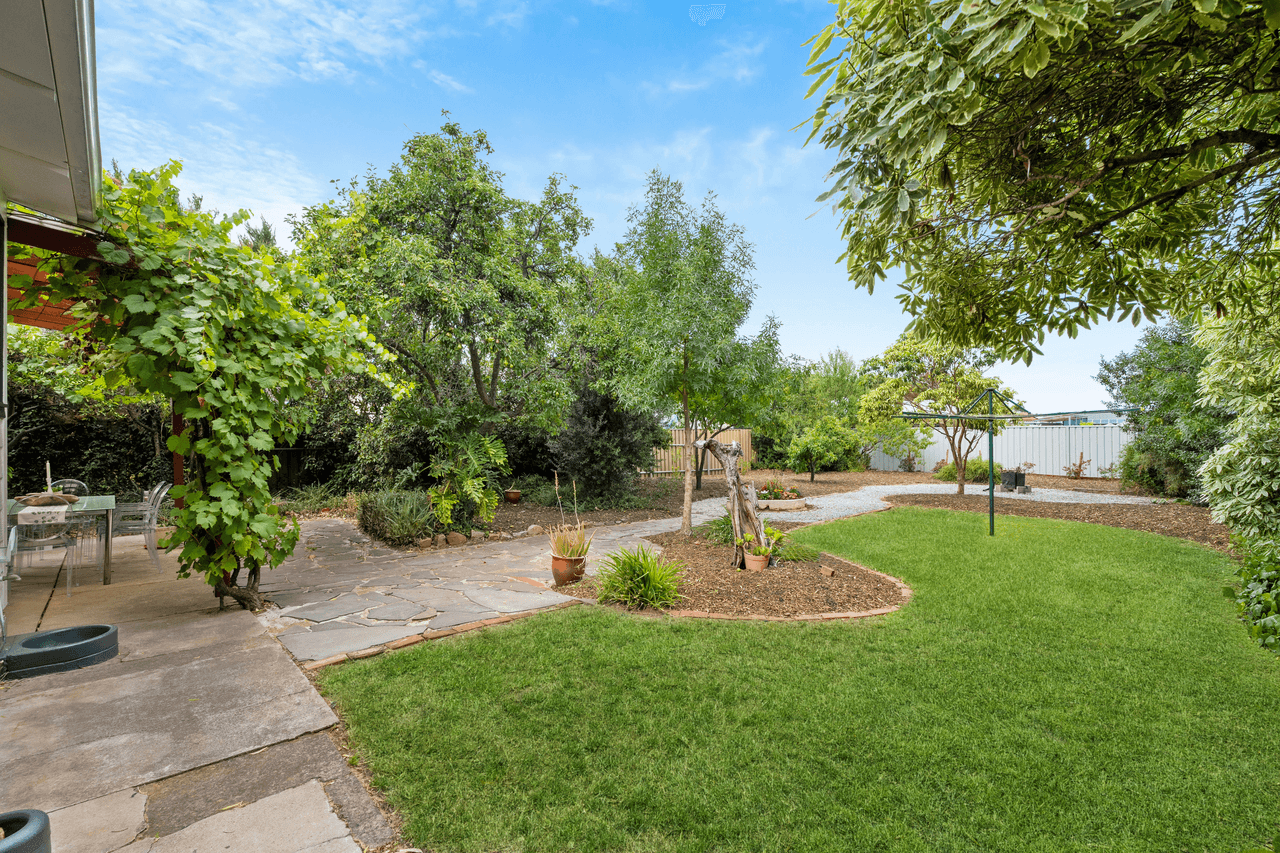 8 Swift Avenue, MELROSE PARK, SA 5039