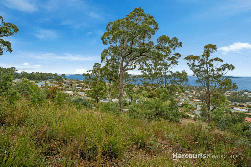 105 Tingira Road, BLACKMANS BAY, TAS 7052