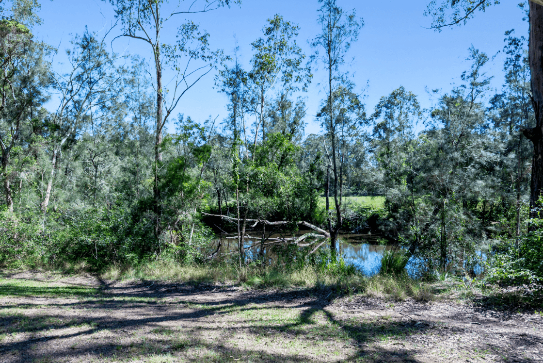 50 Butler Avenue, Cooranbong, NSW 2265