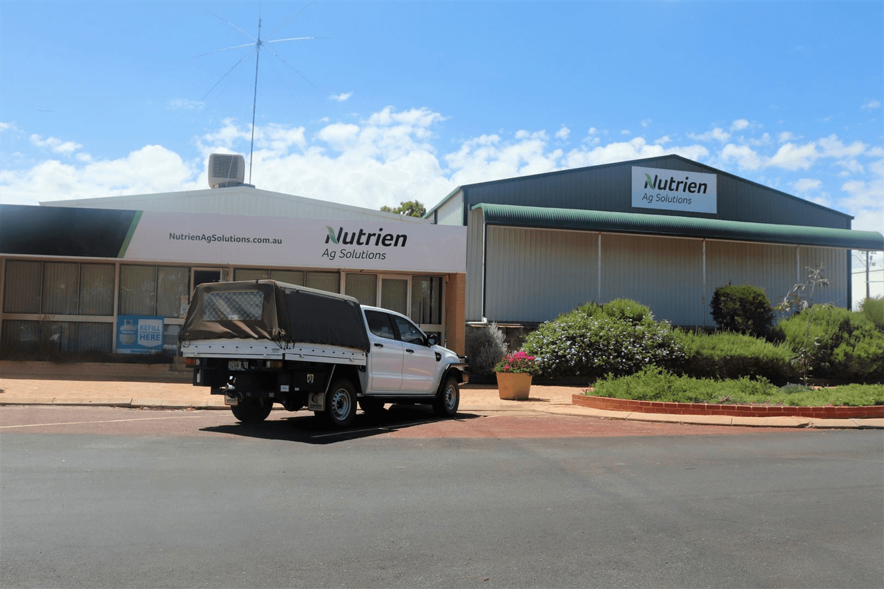 49 Fenton Place, Wongan Hills, WA 6603