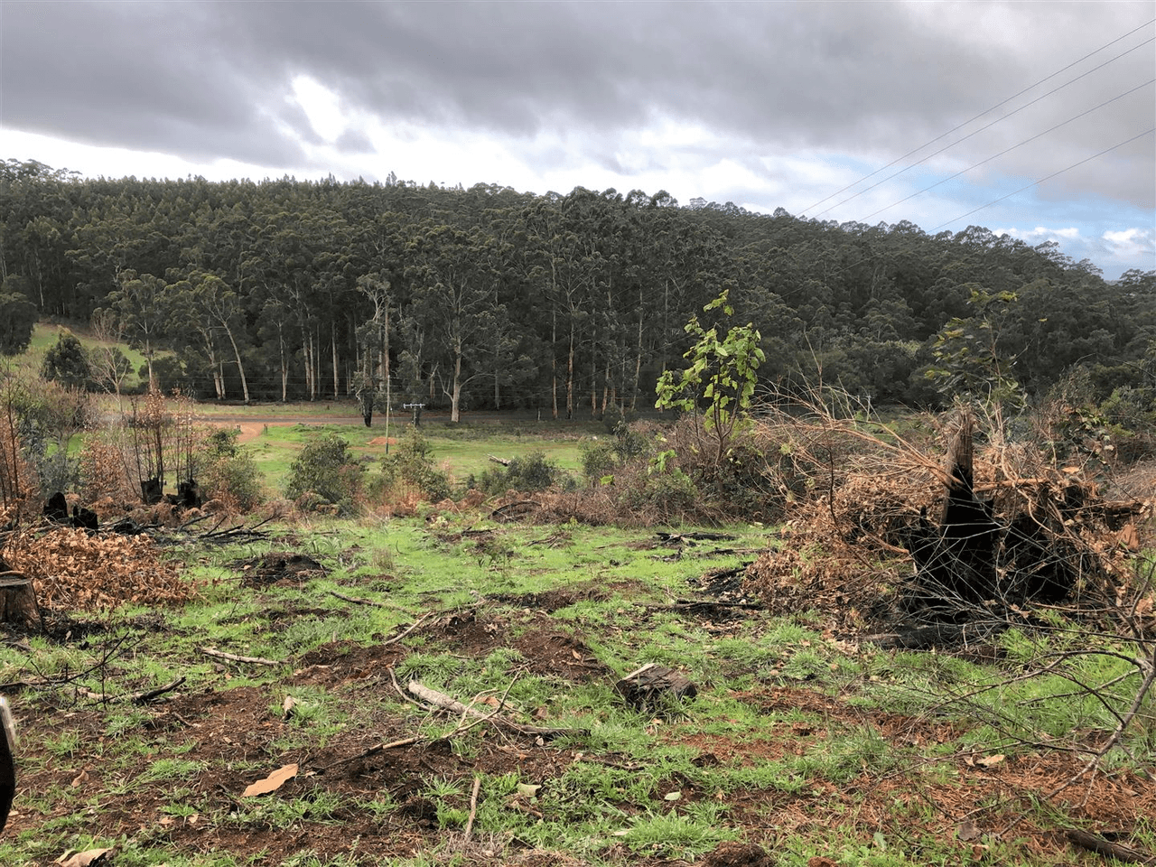 ' Yallamurrup', Manjimup, WA 6258