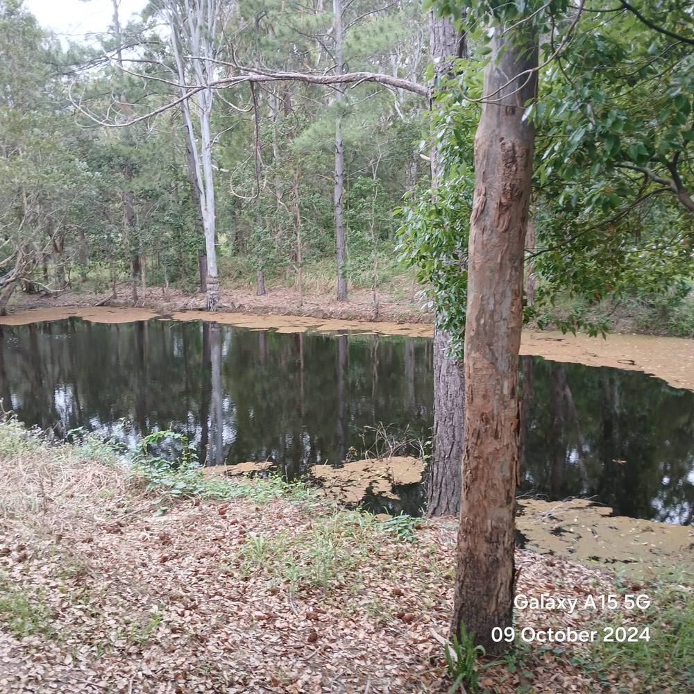 31 Blackadder Road, CORINDI BEACH, NSW 2456