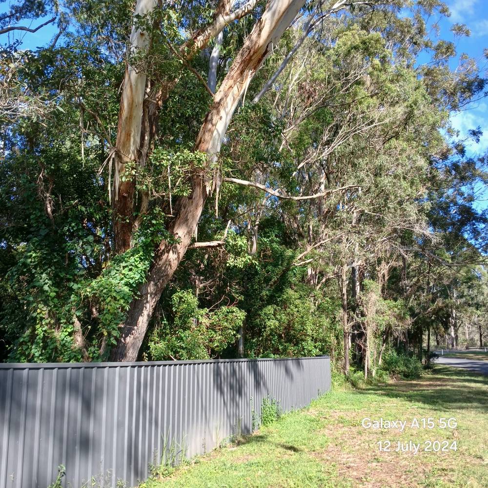 31 Blackadder Road, CORINDI BEACH, NSW 2456