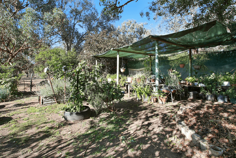 97 Balfour Street, CULCAIRN, NSW 2660