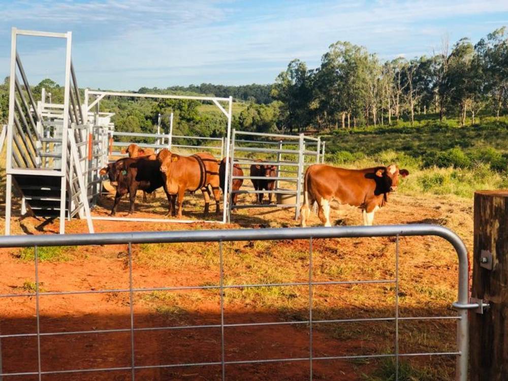 28941 Bruce Highway, Childers, QLD 4660